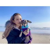 紗貴