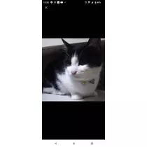 はづき