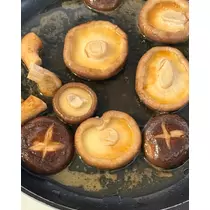 緑 四葉