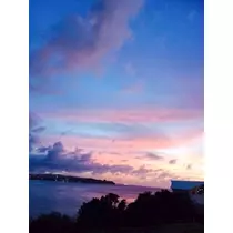 愛羽 仁美