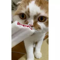 れみ