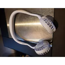 紫音