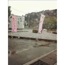 桃瀬 百華
