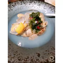 宝條 夏恋