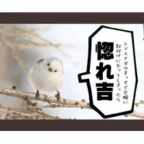 ひな