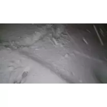 七星 夏純