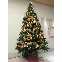 本城 椿