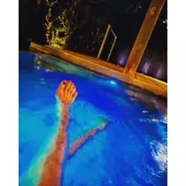 ゆかり