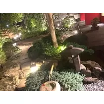 足立 はな