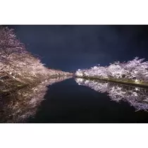 花美人スタッフ