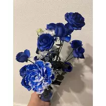 美月