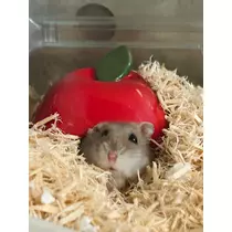 ゆな