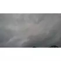 らん