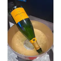 ティラノまな