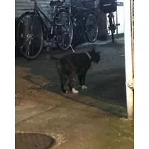 そら