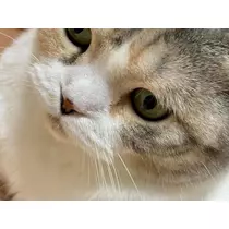 みつき
