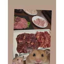 七星 夏純