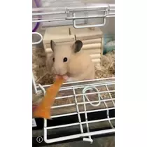 ユカ