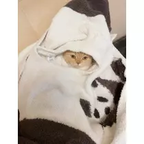あおい
