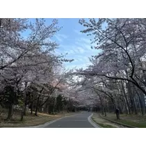 白咲 澪