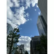 神崎 蘭