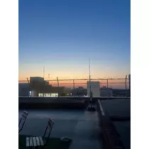 はる