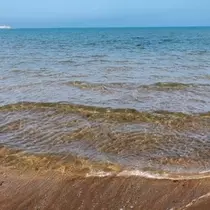 成海 まお
