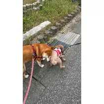 みり