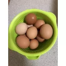 吉原 亜依