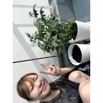 ひなた