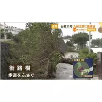 エミ （スタッフ）