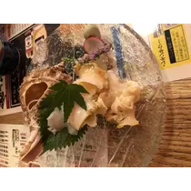 宝條 夏恋