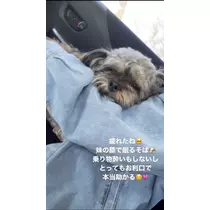 水城 百合