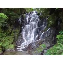 音羽 みおか