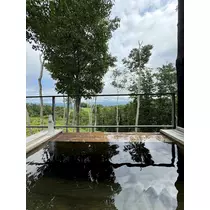 紬 むぎ