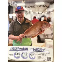 諸星 海