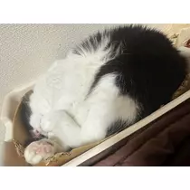 愛望
