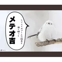 ひな