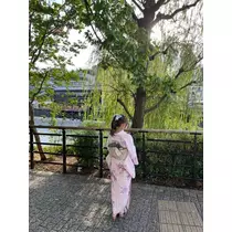 さくの