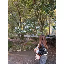 まいか