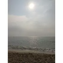 ミユ