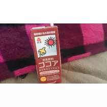 七星 夏純