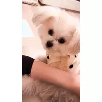 朝陽 凪