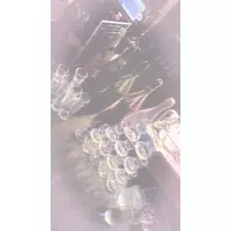 猫羽 のん