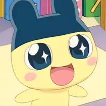 あや