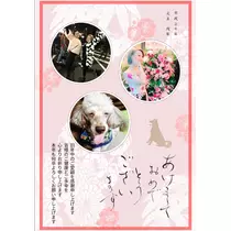 荒木 ナツミ