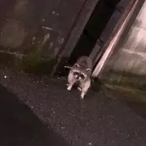 ちあき