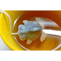 みさき