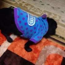 りえ