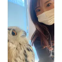 しおり